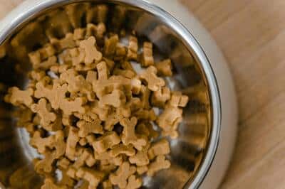 Dog Food and Cat Food