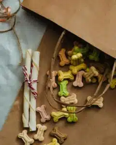 Dog Supplies